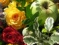 Verwendung der Rosen im Garten, in der Küche, Haushalt, Hausapotheke, als Dekoration usw.