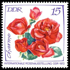 DDR Briefmarke Rose Charme Foto Wikipedia