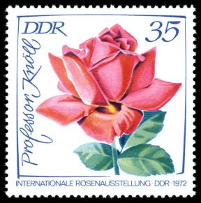 DDR Briefmarke Professor Knöll Foto Wikipedia