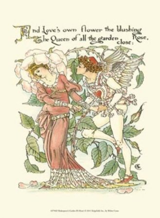 Gemälde Crane Shakespeares Garden Rose