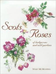 McMurtrie Scots Roses