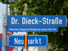 Straßenschild Dieck-Strasse Foto Roland Jacob